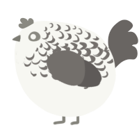A white and grey chicken with a half-lace pattern