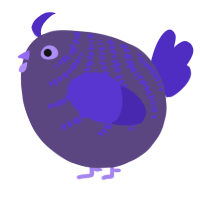 A overcast and indigo chicken with a half-bar pattern