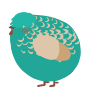 A turquoise and beige chicken with a half-lace pattern