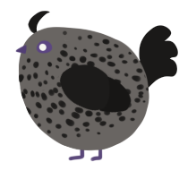 A grey and sable chicken with a speckle pattern