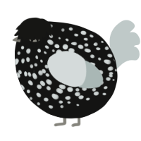 A black and silver chicken with a speckle pattern