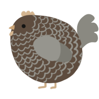 A bark and ash chicken with a lace pattern