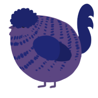 A overcast and navy chicken with a bar pattern