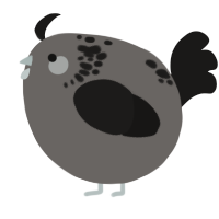 A grey and sable chicken with a neck-speckle pattern