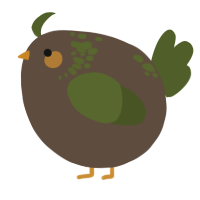 A bark and olive chicken with a neck-speckle pattern