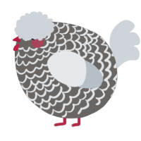 A grey and mist chicken with a lace pattern