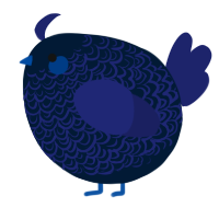A tumblr and navy chicken with a double-lace pattern