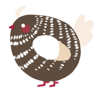 A bark and cream chicken with a bar pattern