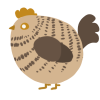 A beige and bark chicken with a bar pattern
