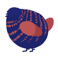 A navy and red chicken with a bar pattern