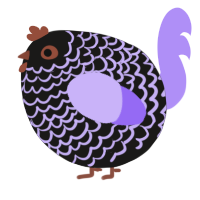 A sable and lilac chicken with a lace pattern