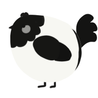 A white and black chicken with a head pattern