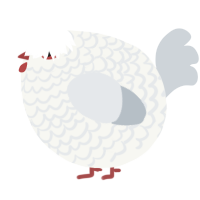 A white and mist chicken with a lace pattern