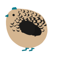 A beige and sable chicken with a half-lace pattern