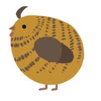 A gold and bark chicken with a bar pattern