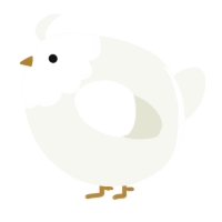 A white chicken with a head pattern
