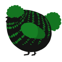 A black and leaf chicken with a bar pattern