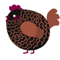 A black and russet chicken with a lace pattern