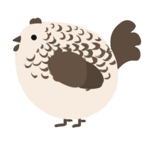A cream and bark chicken with a half-lace pattern