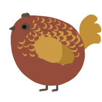 A russet and gold chicken with a half-lace pattern