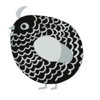 A black and silver chicken with a lace pattern