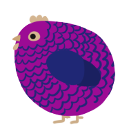 A plum and navy chicken with a lace pattern