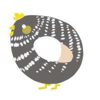 A grey and cream chicken with a bar pattern