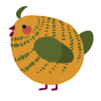 A orange and olive chicken with a bar pattern