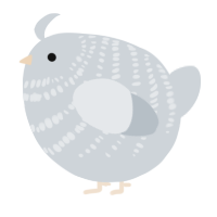 A mist chicken with a bar pattern