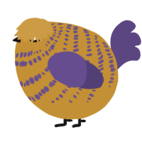 A gold and overcast chicken with a bar pattern