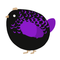 A black and violet chicken with a half-lace pattern