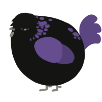 A black and overcast chicken with a neck-speckle pattern