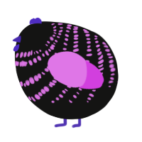 A black and orchid chicken with a bar pattern