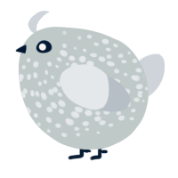 A silver and mist chicken with a speckle pattern