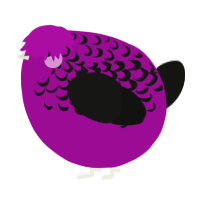 A plum and black chicken with a half-lace pattern