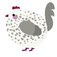 A white and ash chicken with a speckle pattern