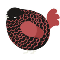 A sable and red chicken with a lace pattern