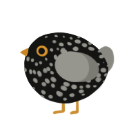 A black and ash chicken with a speckle pattern