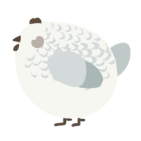 A white and silver chicken with a half-lace pattern