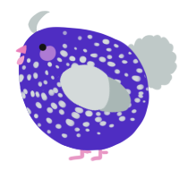A indigo and silver chicken with a speckle pattern
