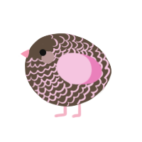 A bark and pink chicken with a lace pattern