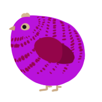 A amethyst and maroon chicken with a bar pattern