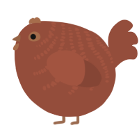 A russet chicken with a half-bar pattern