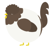 A white and bark chicken with a head pattern