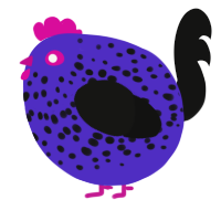 A indigo and black chicken with a speckle pattern