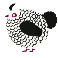 A white and black chicken with a lace pattern