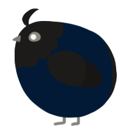 A tumblr and sable chicken with a head pattern