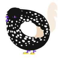 A black and cream chicken with a speckle pattern