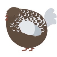 A bark and mist chicken with a half-lace pattern