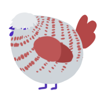 A mist and red chicken with a bar pattern